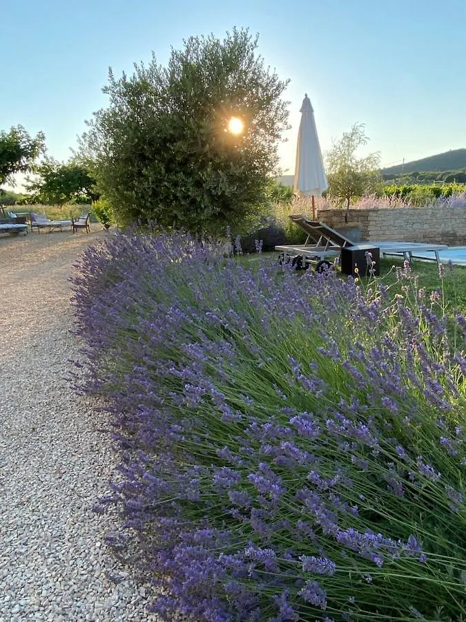 Mas Bastide St Victor Pour 10 Personnes Villa Puyvert Holiday home