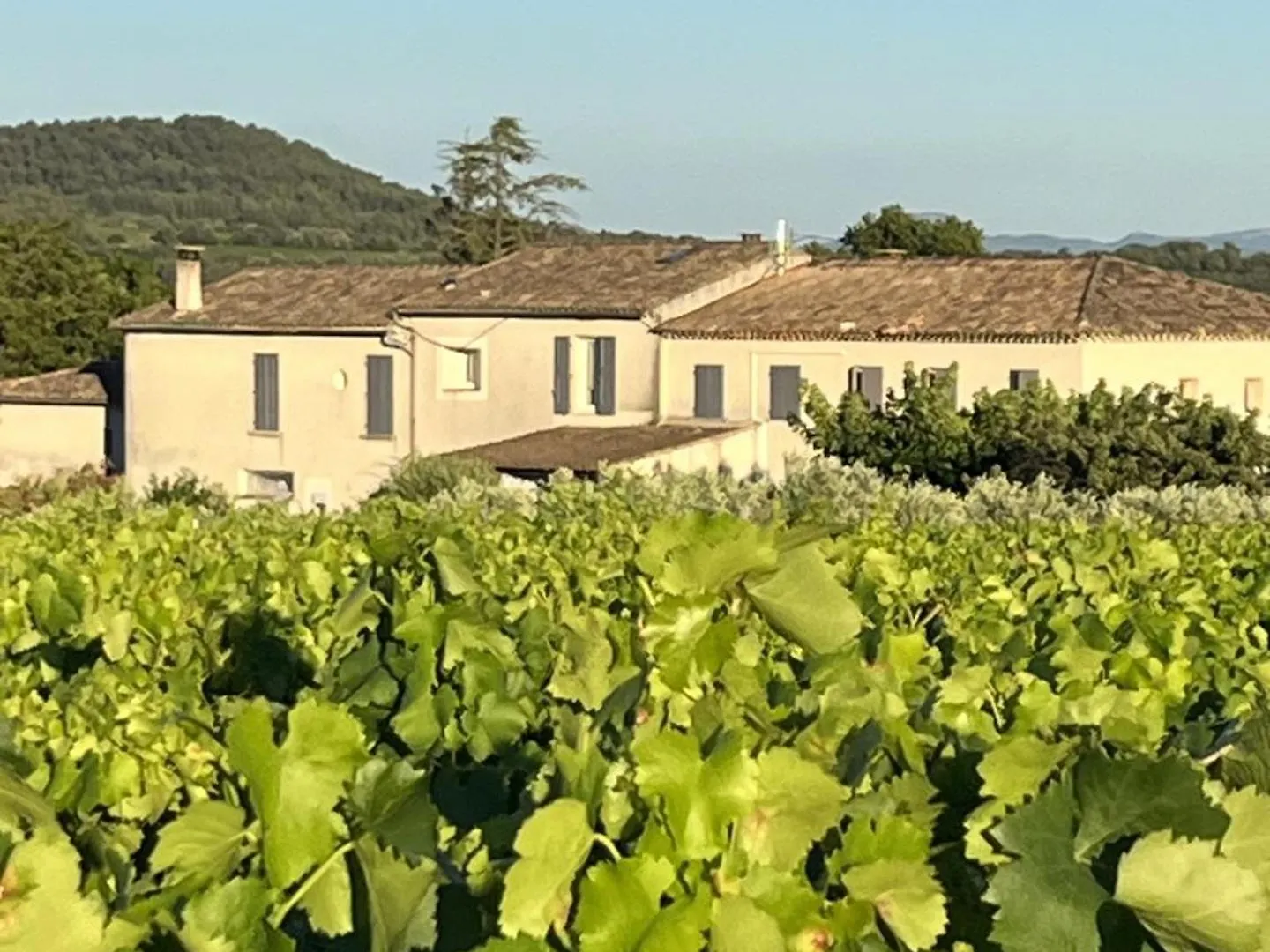 Mas Bastide St Victor Pour 10 Personnes Villa Puyvert 0*,  France